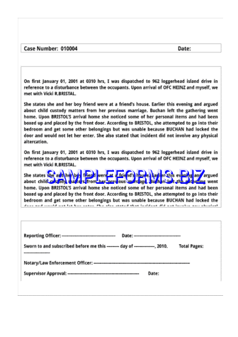 Police Report Template 3 docx pdf free
